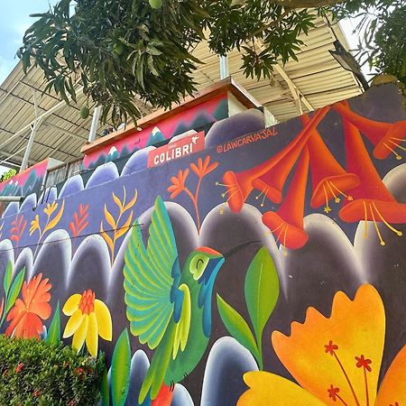 ホテル Casa Colibri パロミノ エクステリア 写真