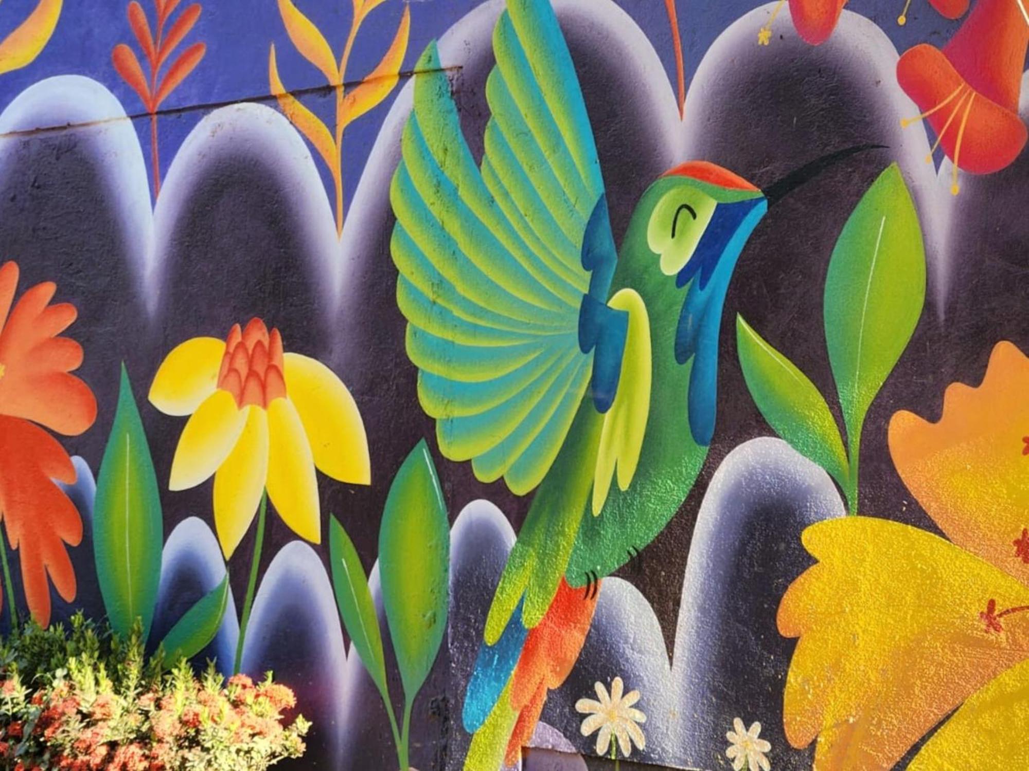 ホテル Casa Colibri パロミノ エクステリア 写真
