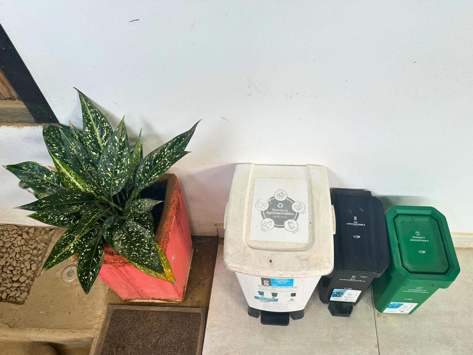 ホテル Casa Colibri パロミノ エクステリア 写真