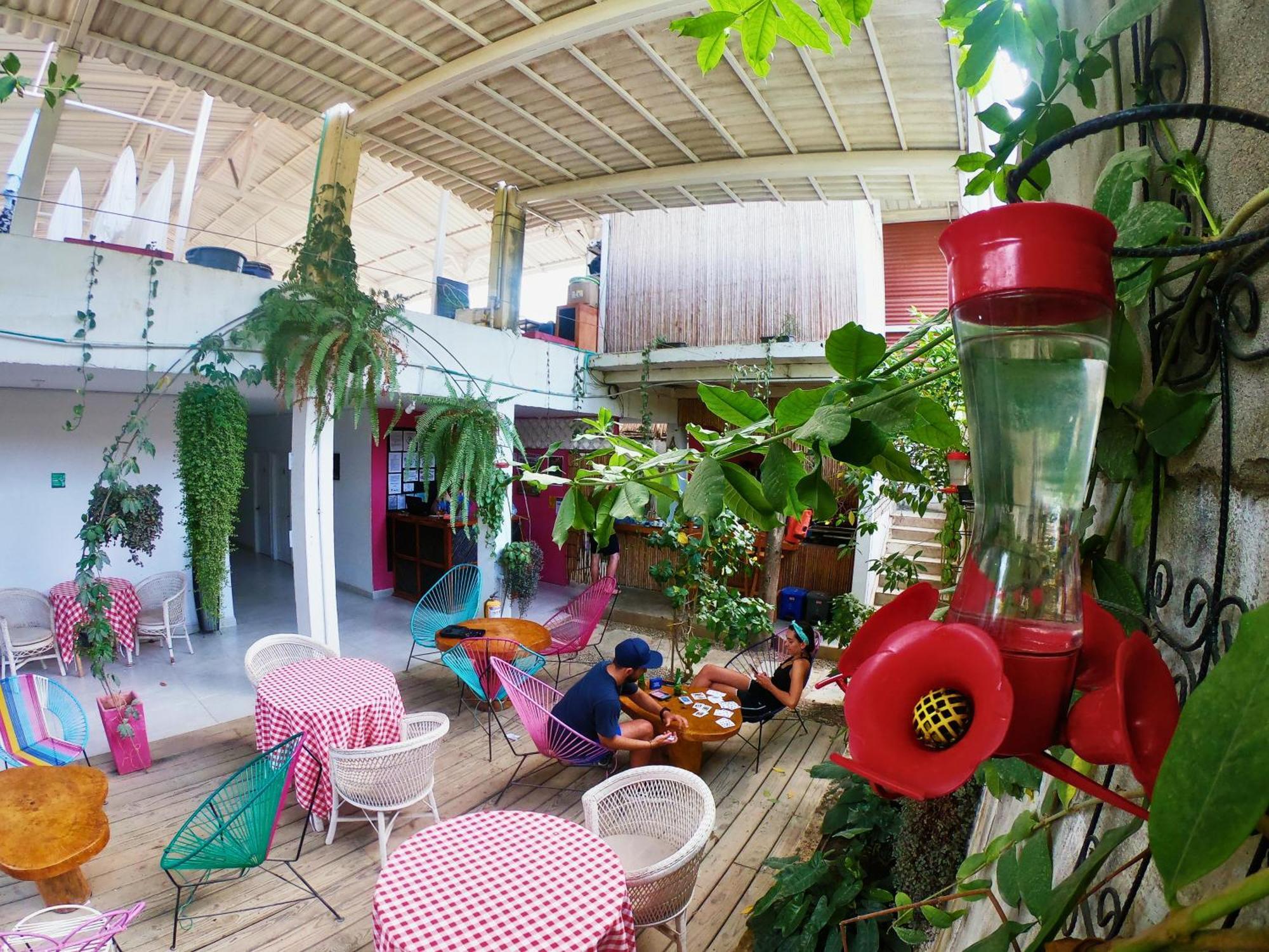 ホテル Casa Colibri パロミノ エクステリア 写真