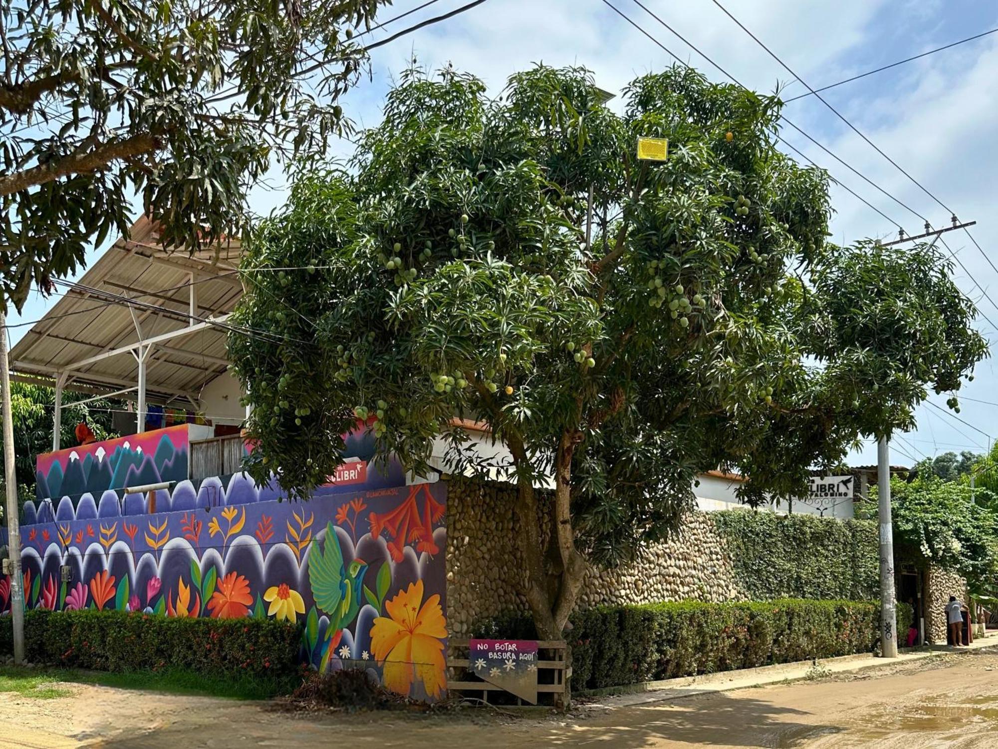 ホテル Casa Colibri パロミノ エクステリア 写真